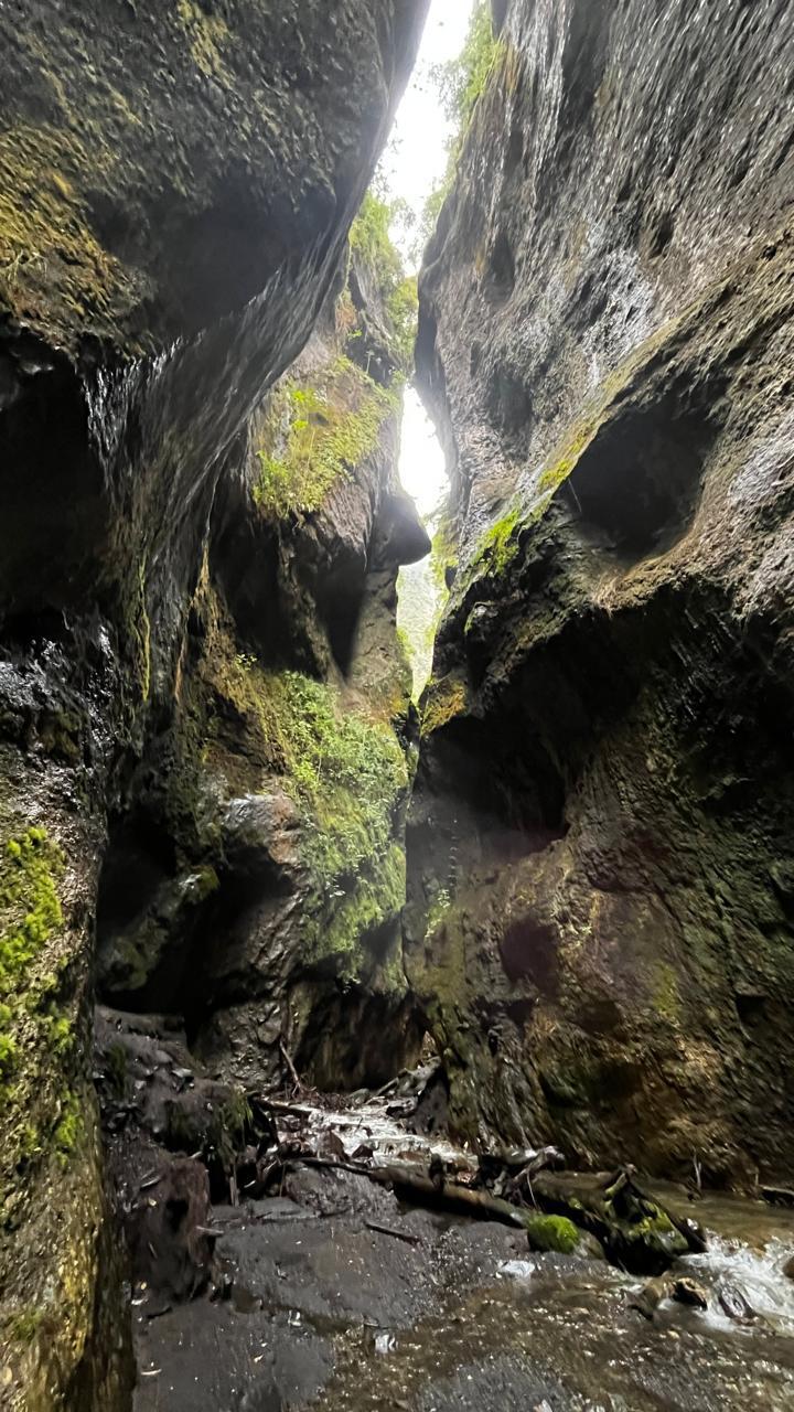 ANIMERO TRAIL RUNNING - Imagen 3