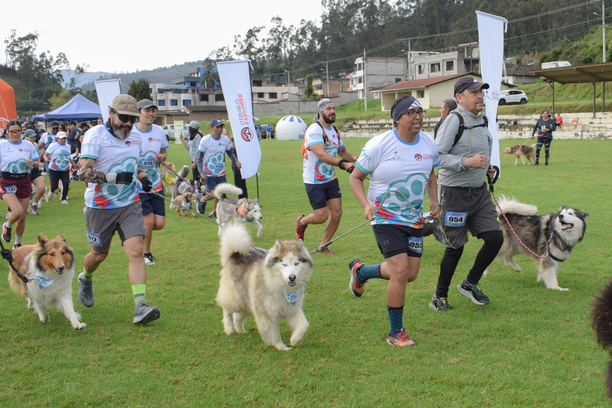 Perro Adventure - Imagen 3