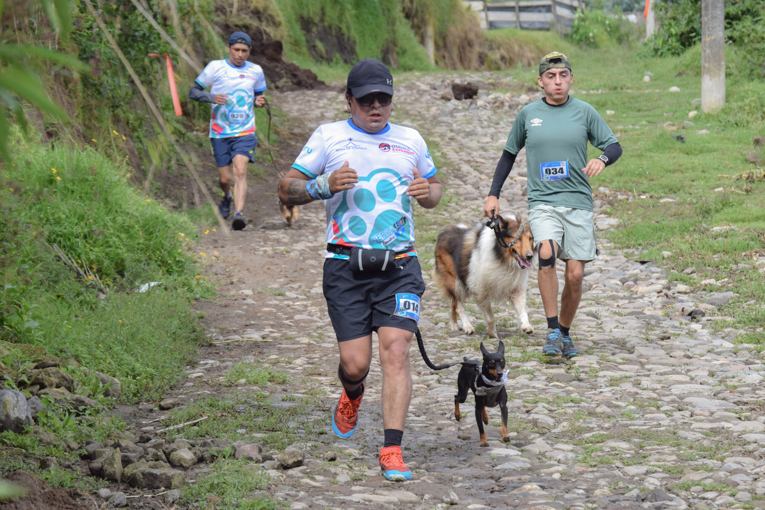 Perro Adventure - Imagen 5