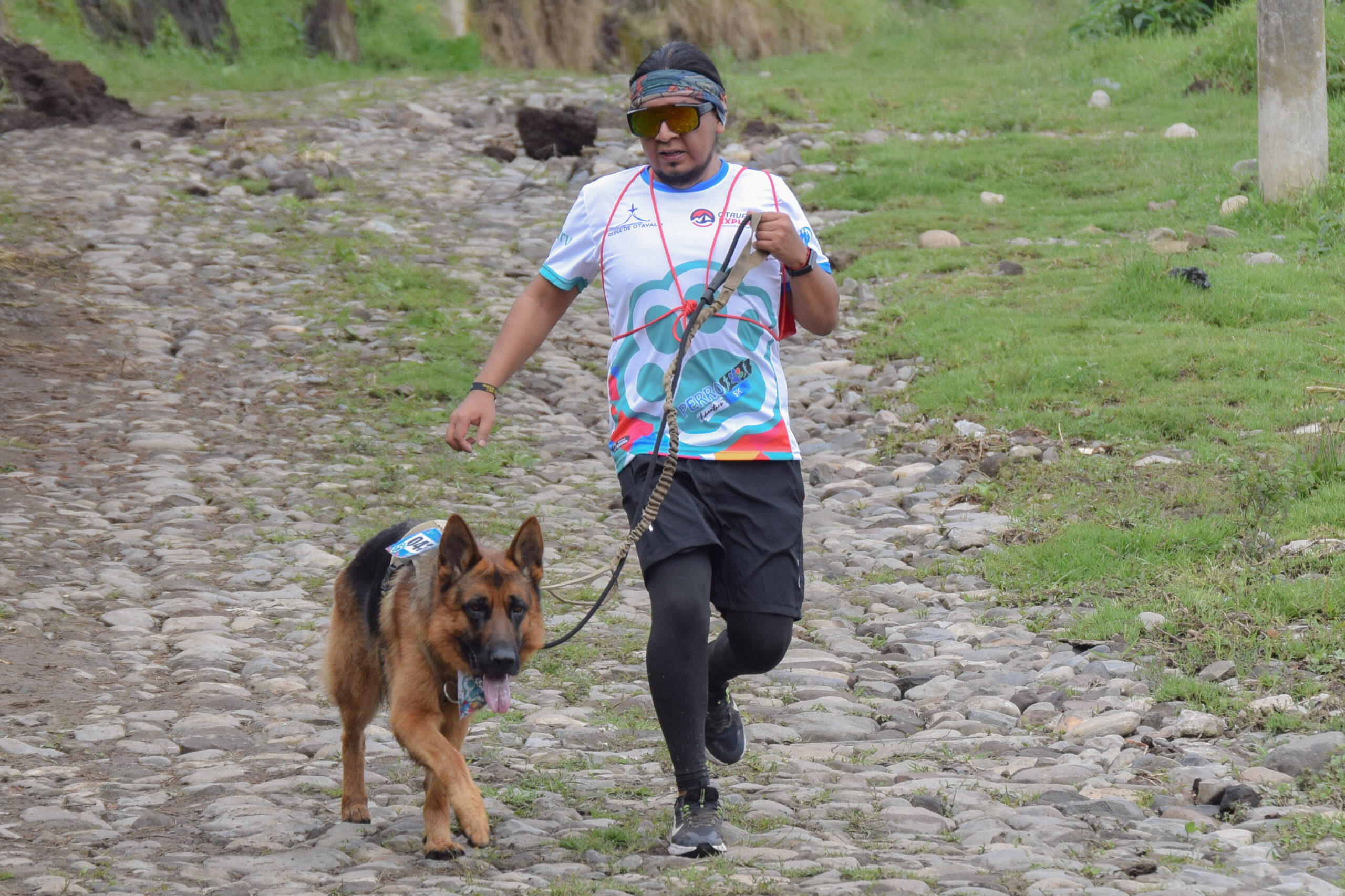 Perro Adventure - Imagen 2