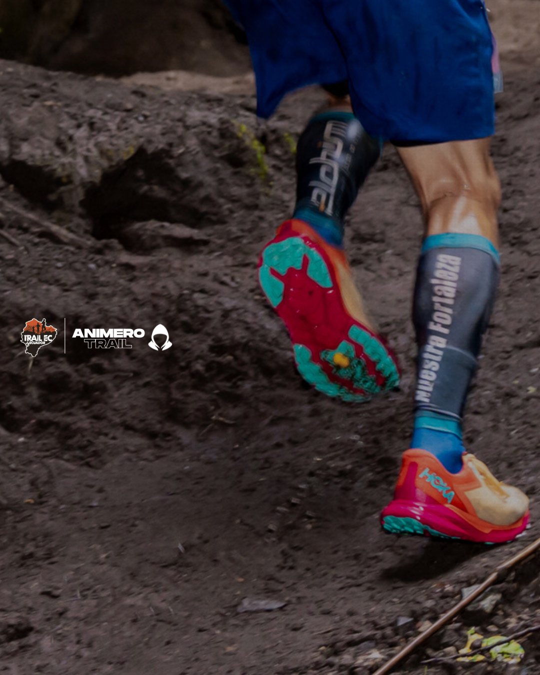 ANIMERO TRAIL - Imagen 1